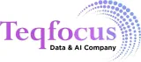 Teqfocus Consulting LLC logo