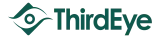 ThirdEye Consulting logo