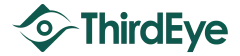 ThirdEye Consulting logo