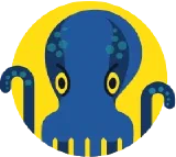 JetOctopus logo