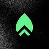 Prosper Digital logo