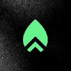 Prosper Digital logo
