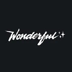 Wonderful Collective logo