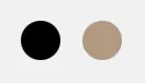 Agnona color selector photographed on its product page, 2 circle swatches