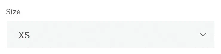 Agolde size selector photographed on its product page, 5 values as a native select