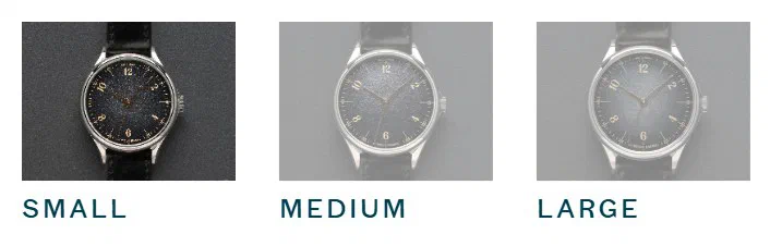 Anordain size selector photographed on its product page, 3 values as a radio list with text labels