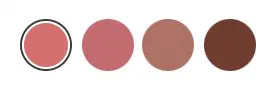Kylie Cosmetics color selector photographed on its product page, 4 circle swatches