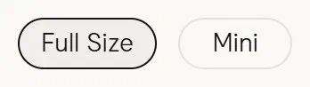 Tatcha size selector photographed on its product page, 2 values as a radio list with text labels